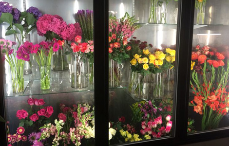 The Science Behind Flower Coolers: How Temperature and Humidity Impact Freshness